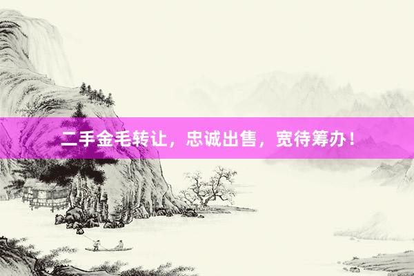 二手金毛转让，忠诚出售，宽待筹办！
