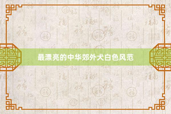最漂亮的中华郊外犬白色风范