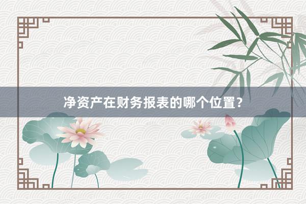 净资产在财务报表的哪个位置？